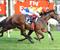 Quaddie Craig runs Decircles around his opposition